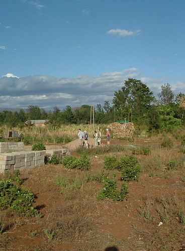 New_site_001