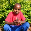 Francis_peter